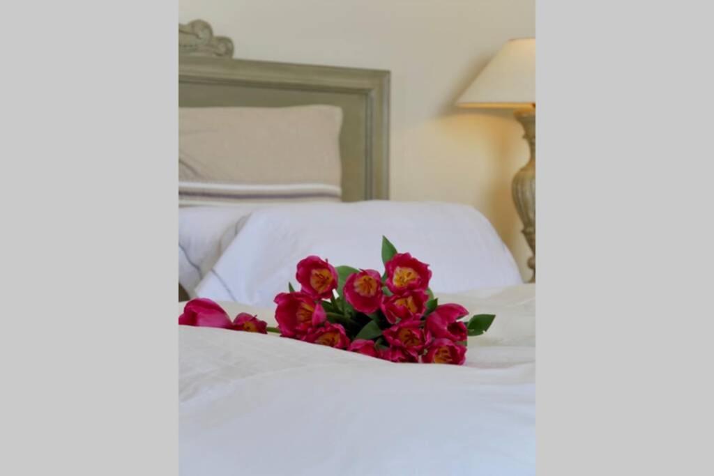 Bord De Mer - Ac, Wifi, Chic, Sea View, Beach 2 Minutes Walk Antibes Eksteriør bilde